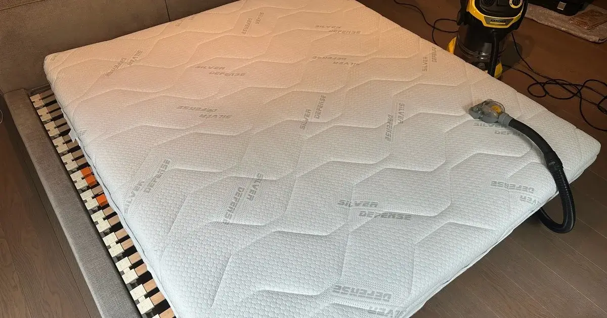 Removing dust mites from the mattress: what really helps