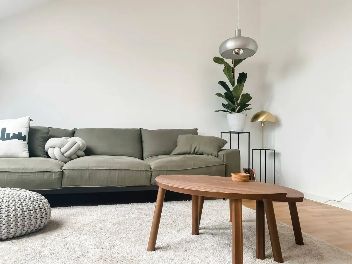 Removing mould from a sofa or mattress — what really helps