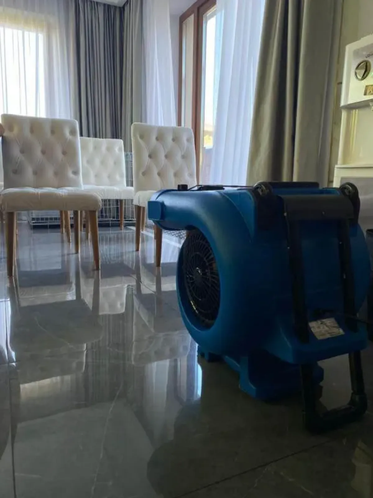 Professional blower drying of the upholstery