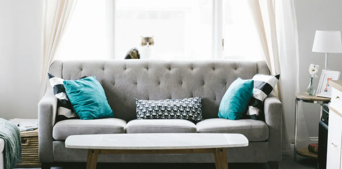 Professional sofa and mattress cleaning – Just Clean